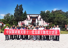 中国铜业机关第十一党支部主题党日活动