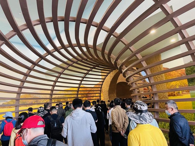 1686819383123348.jpg 14.jpg